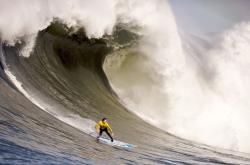 开云官方app入口-米切尔教科书式表现引领太阳，以体系强压步行者显冠军相