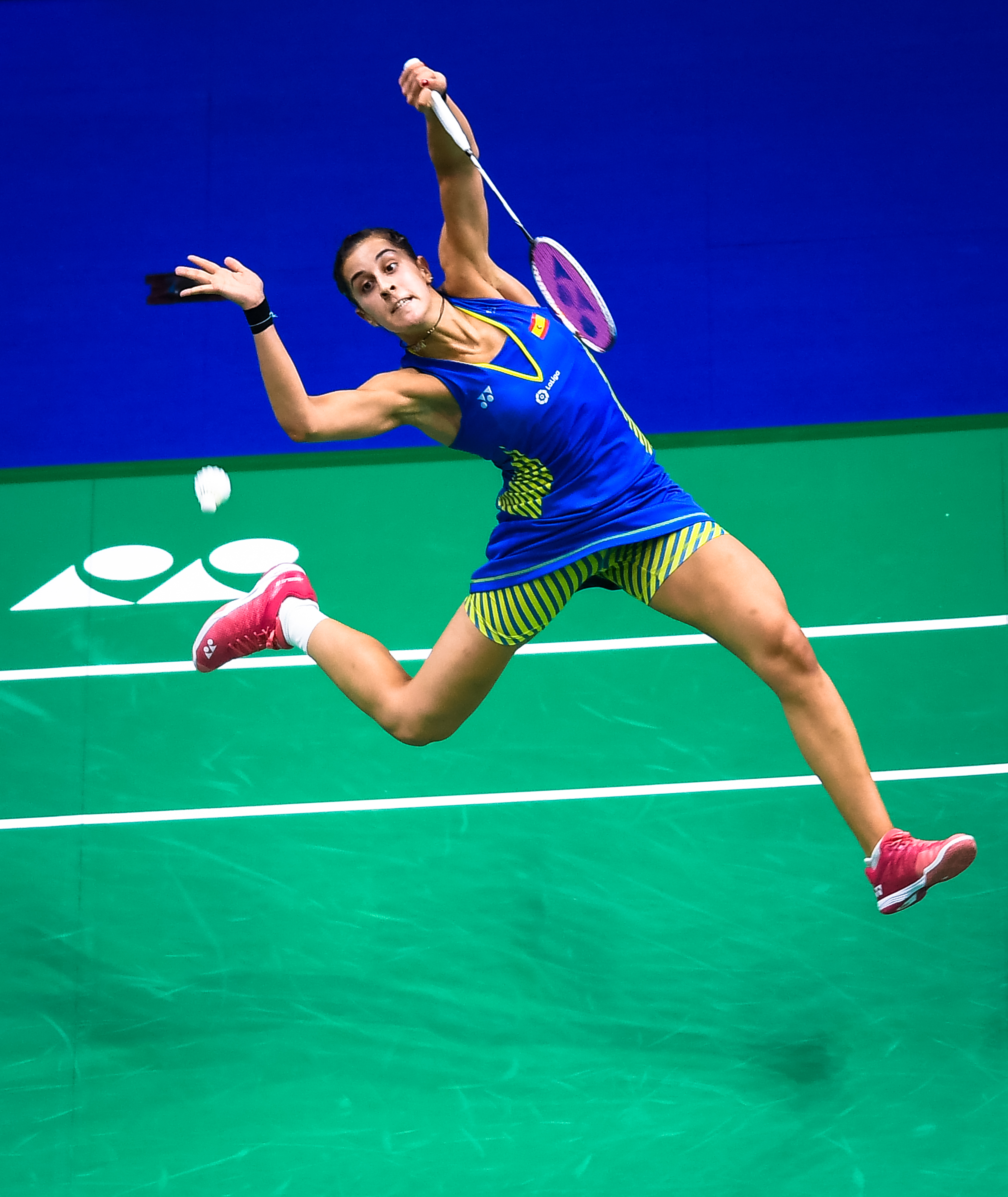 日本羽毛球队绝杀印尼羽毛球队，马琳惊艳世界的简单介绍